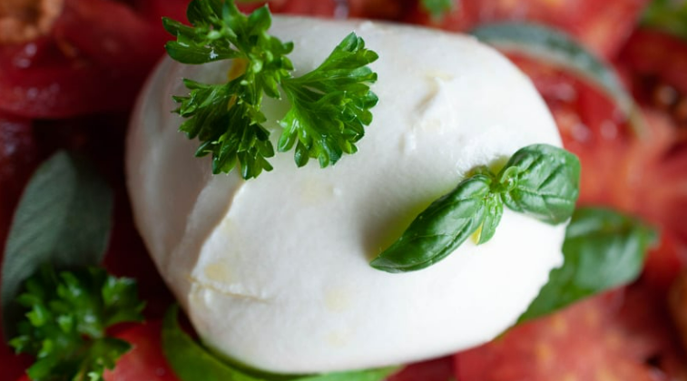 Queso de mozzarella de bufala